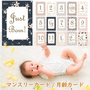 ベビーマンスリーカード「PINK PATTERNS」月齢カード 赤ちゃん 誕生日出産祝い