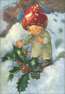ポストカード アート ウェーバー「冬の赤い果実」