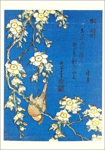 ポストカード アート 葛飾北斎「桜の木にとまるウソ」