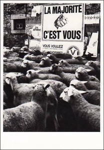 Postcard Sheep Monochrome