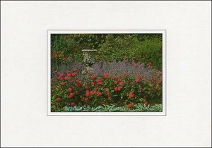 ポストカード カラー写真 赤い花の庭園