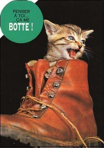 ポストカード カラー写真 ダイカットタイプ 定形外 ブーツに入った子猫