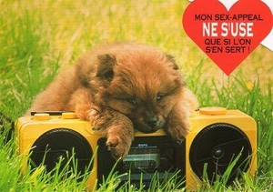 ポストカード カラー写真 ダイカットタイプ 定形外 ラジカセと子犬