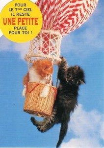 ポストカード カラー写真 ダイカットタイプ 定形外 気球に乗った2匹の子猫