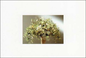 ポストカード カラー写真 白い花のアレンジメント