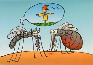 ポストカード イラスト フィンランドの蚊シリーズ「間違えてカカシを刺しちゃったの」