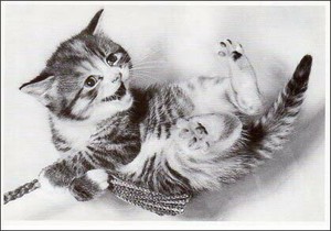 ポストカード モノクロ写真「紐にぶら下がる子猫」