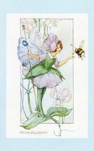 ポストカード イラスト マーガレット・タラント「えんどう豆の妖精」