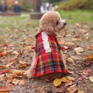Dog Clothes Long Sleeves Check Front Opening L Dog Autumn/Winter