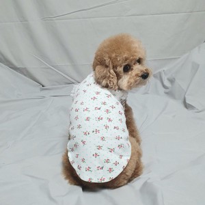 Dog Clothes Lace Summer L Spring Dog M