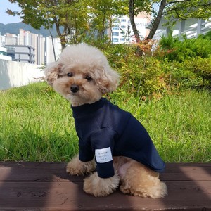 Dog Clothes Long Sleeves T-Shirt Spring/Summer L Dog Autumn/Winter