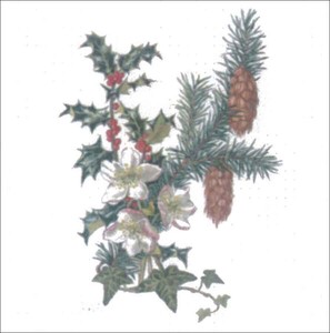 グリーティングカード クリスマス「クリスマスの花」メッセージカード