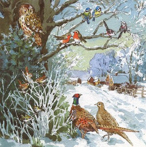 グリーティングカード クリスマス「鳥たち」メッセージカードアオガラ コマドリ