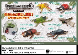 Dynamic Earth昆虫フィギュア（アソートセット）【ダイナミックアース】