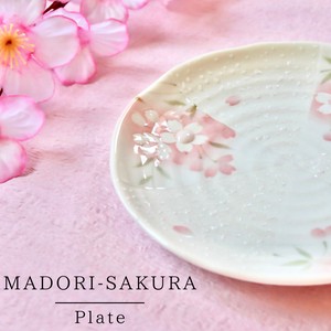 Mino ware Main Plate Cherry Blossoms Made in Japan