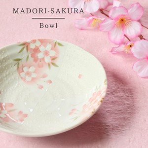 Mino ware Donburi Bowl Fruits Made in Japan