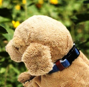 Dog Collar Made in Japan