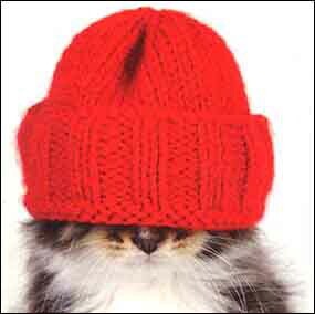 ミニカード クリスマス「帽子をかぶった猫」 メッセージカード