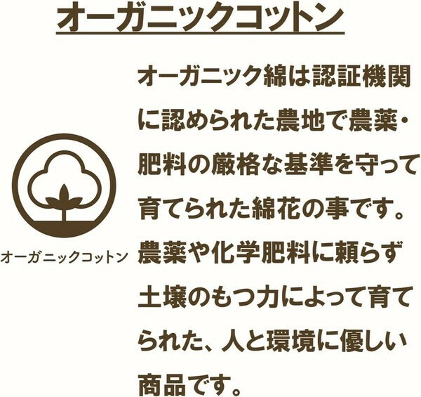 サンリオ シナモロール シナモンケーキ ミニタオル