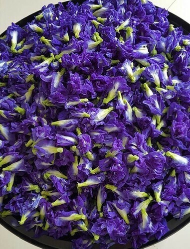 バタフライピーピンクレモネード