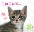 2 3 Kitten Calendar 2
