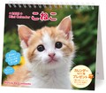 2 3 Mini Calendar Kitten 2