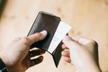Card Case Cattle Leather Made in Japan
