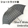 Umbrella Polka Dot