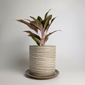 Shigaraki ware Pot/Planter Beige Made in Japan