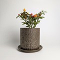 Shigaraki ware Pot/Planter Made in Japan