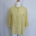 Button Shirt/Blouse Shirtwaist
