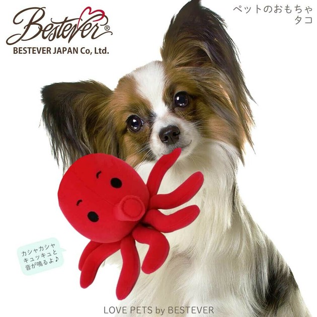 Dog toys Love bestever Import Japanese products at wholesale