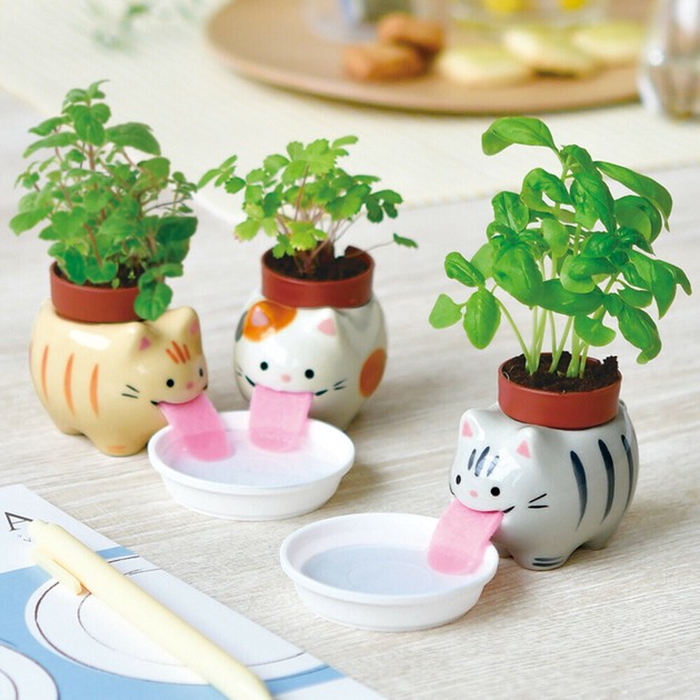ぺろぽん Peropon cats ペロポン キャッツ 猫 栽培セット ワイルド