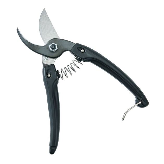 ブラックフラワーガーデンタイチン！ドゥリどゥリ！ Gardening Item Flower black | Import Japanese products at