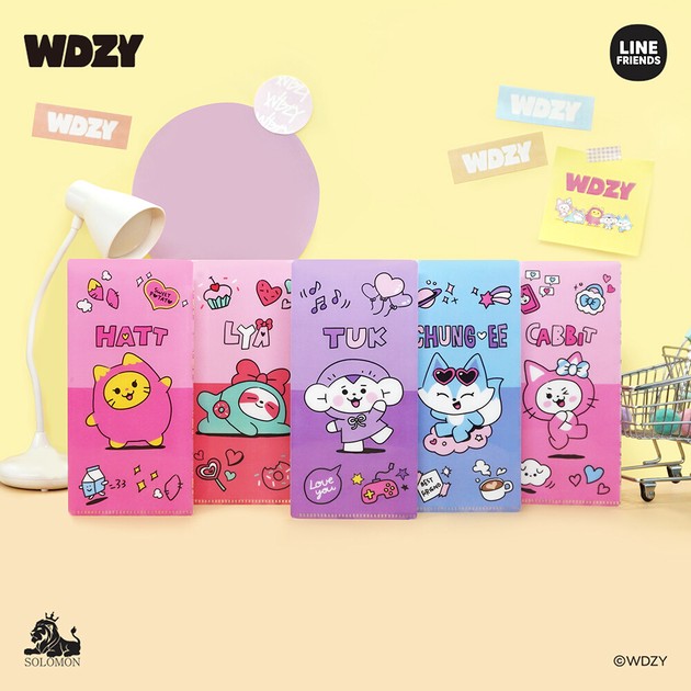 WDZY Mask Case | Import Japanese products at wholesale prices 