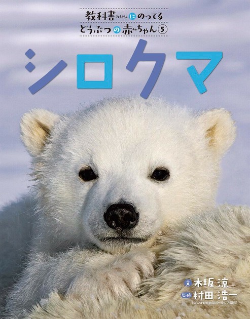 しろくまページ 教科書にのってるどうぶつの赤ちゃん シロクマの商品ページ|卸