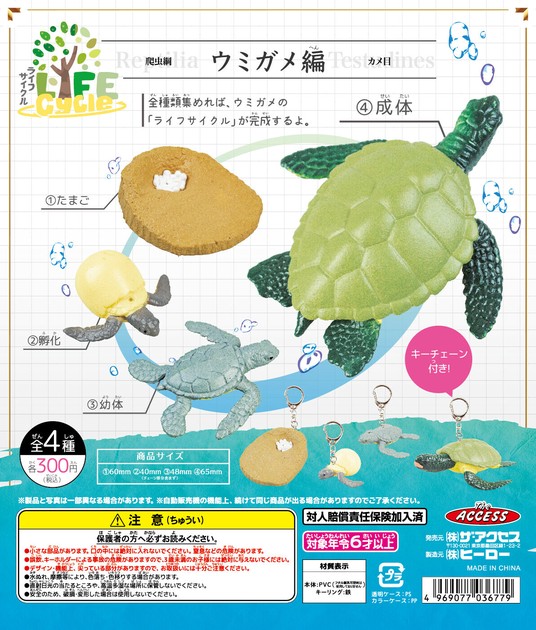 【新品未使用】daum ウミガメ 新品未使用】daum ウミガメ