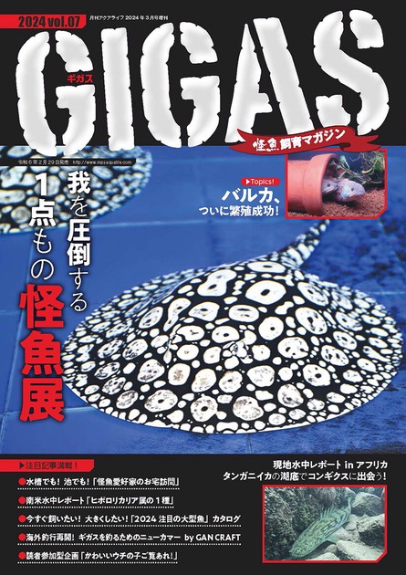 怪魚飼育マガジン GIGAS(ギガス) 2024 vol.07の商品ページ｜卸・仕入れ 