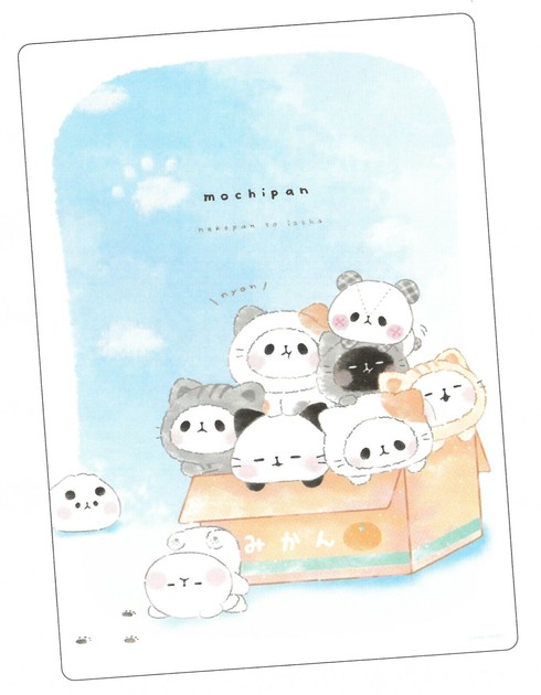 ともちもたこです 2024年春夏新作】【もちもちぱんだ】下じき ねこだらけ 220422の