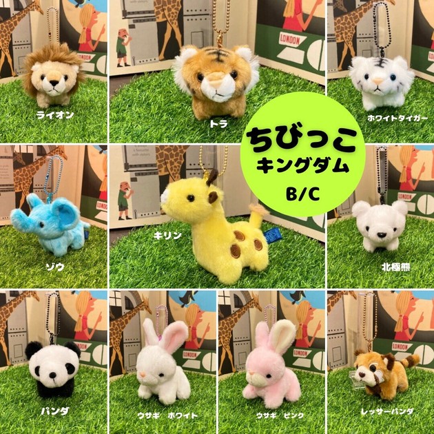 ちびっこキングダム B/Cの商品ページ｜卸・仕入れサイト【スーパーデリバリー】