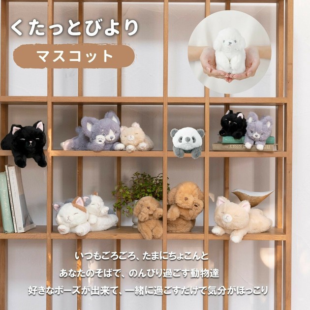 おすわり ぬい服 にじぱぺっと 猫 エメラルドグリーン 緑 ㊷