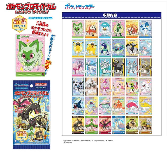 ポケットモンスター ポケモン ブロマイドガム ダンテ ダイゴ