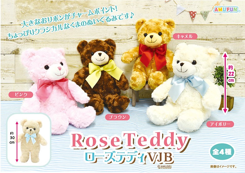 teddy rose sa