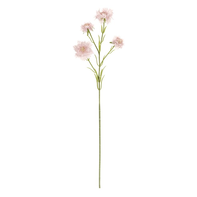 Floral Picks Import Japanese Products At Wholesale Prices Super Delivery Floral Picks Import Japanese Products At Wholesale Prices Super Delivery