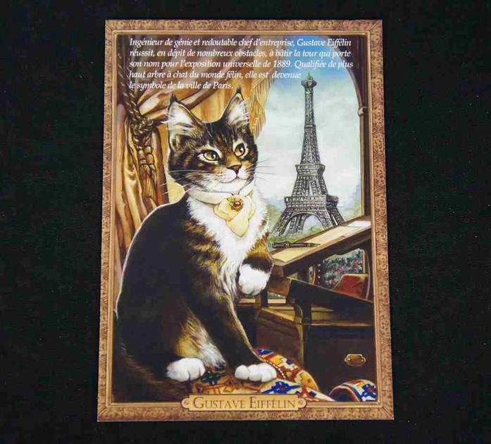 France Cat Postcard Import Japanese Products At Wholesale Prices Super Delivery