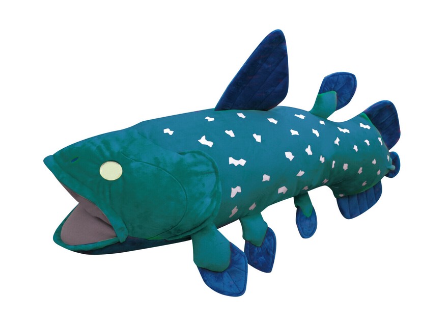 coelacanth plush