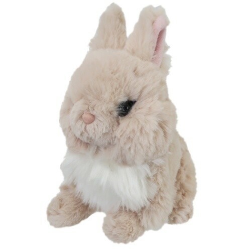 rabbit soft