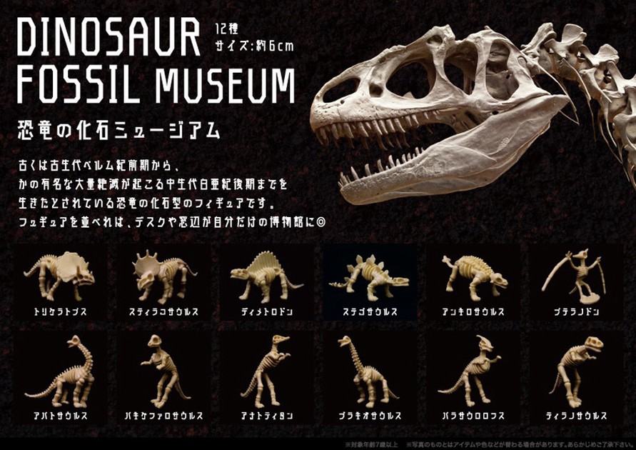 恐竜の化石ミュージアムの商品ページ｜卸・仕入れサイト【スーパー 