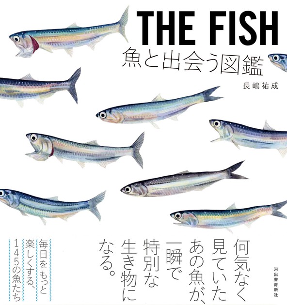 なぜ蝶は美しいのか | フィリップ・ハウス |本 | 通販 | Amazon