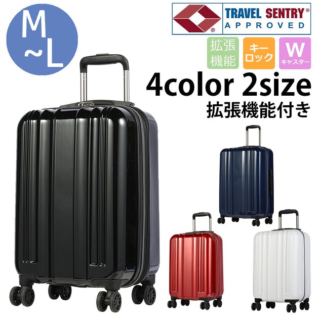 Suitcase Carry Bag | Import Japanese products at wholesale